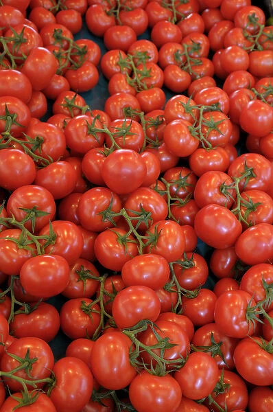Europe, France, Paris. Tomatos, Thursday Market, Boulevard Saint-Germain
