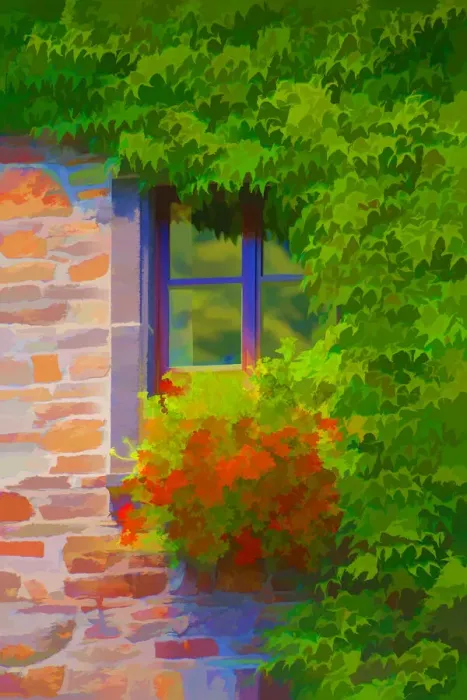 Framed Print : Europe, France, Provence. Abstract of window with flowers