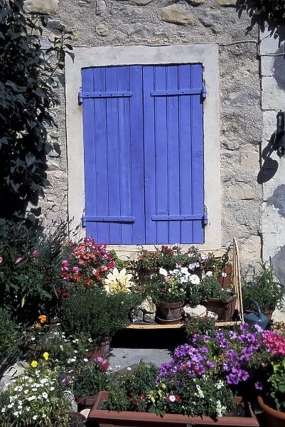 Europe, France, Provence, Aix-en-Provence. Flowers in front of shuttered window