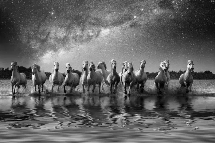 Framed Print : Europe, France, Provence, Camargue. Composite of Milky Way Framed Print : Europe, France, Provence, Camargue. Composite of Milky Way
