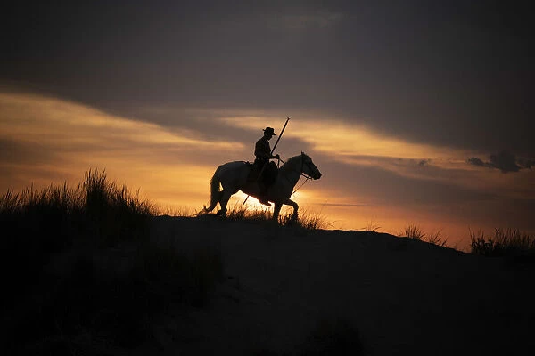 Europe, France, Provence. Camargue horse with rider at sunrise