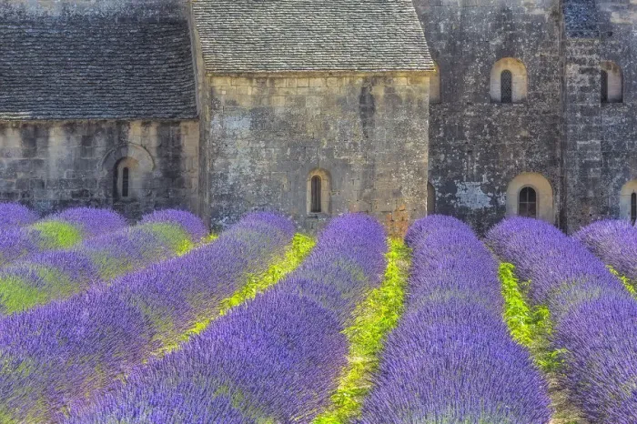 Framed Print : Europe, France, Provence. Lavender field and Senanque Abbey Framed Print : Europe, France, Provence. Lavender field and Senanque Abbey