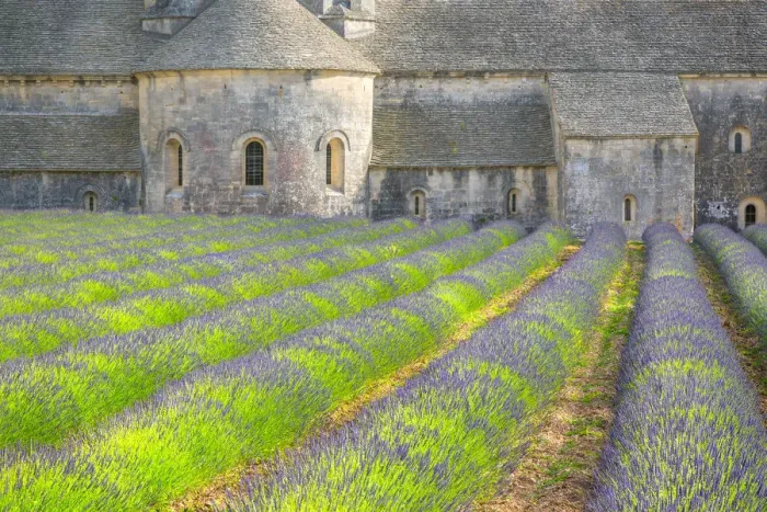 Framed Print : Europe, France, Provence. Lavender field and Senanque Abbey