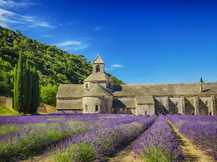 Framed Print : Europe; France; Provence; Seananque Abbey; Seananque Abbey with Lavender in full bloom