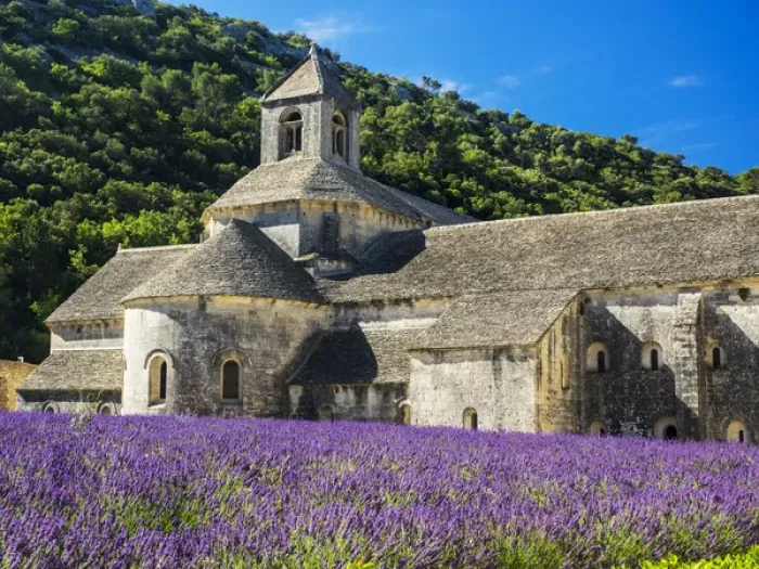 Framed Print : Europe; France; Provence; Seananque Abbey; Seananque Abbey with Lavender in full bloom