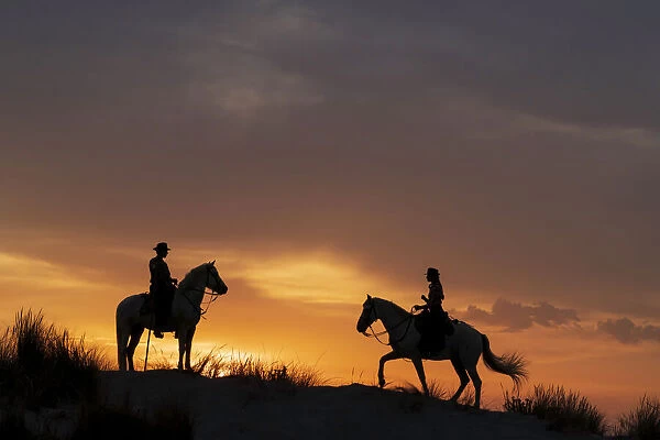 Europe, France, Provence. Silhouette of Camargue horses with guardian riders at sunrise