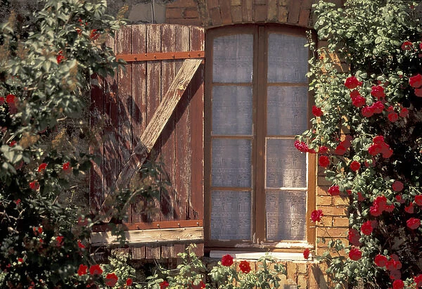 Europe, France, Provence, Vaucluse, Apt House with summer roses