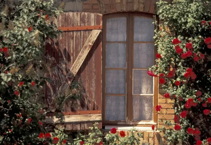 Framed Print : Europe, France, Provence, Vaucluse, Apt House with summer roses