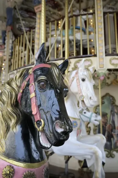Framed Print : Europe, France, Rhone-Alpes, Lyon. Horse carousel, Place de la Republique