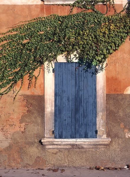 Europe, France, Roussillon. Ivy covers the wall and some of the blue Shutters in Roussillon