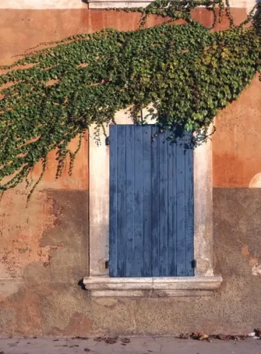 Framed Print : Europe, France, Roussillon. Ivy covers the wall and some of the blue Shutters in Roussillon Framed Print : Europe, France, Roussillon. Ivy covers the wall and some of the blue Shutters in Roussillon