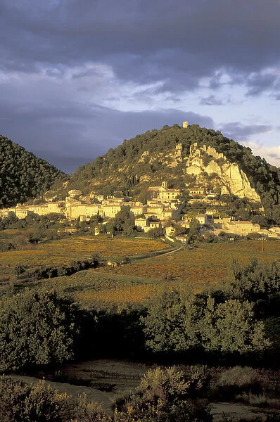 Europe, France, Seguret, Vaucluse Provence vineyards in autumn