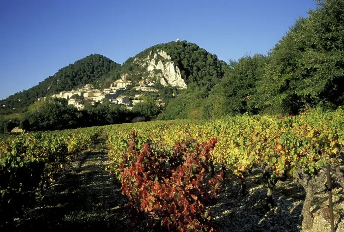 Framed Print : Europe, France, Seguret, Vaucluse Provence vineyards in autumn Framed Print : Europe, France, Seguret, Vaucluse Provence vineyards in autumn