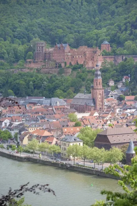Framed Print : Europe, Germany, Baden-Wurttemberg, Heidelberg, view of Heidelberg Castle, Neckar River Framed Print : Europe, Germany, Baden-Wurttemberg, Heidelberg, view of Heidelberg Castle, Neckar River