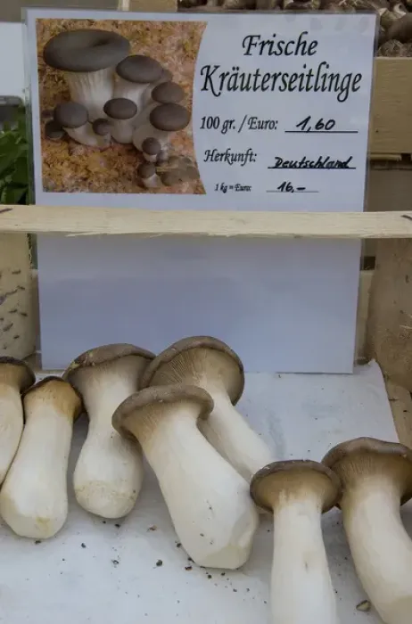 Framed Print : Europe, Germany, Bavaria, Regensburg, fresh mushrooms for sale Framed Print : Europe, Germany, Bavaria, Regensburg, fresh mushrooms for sale