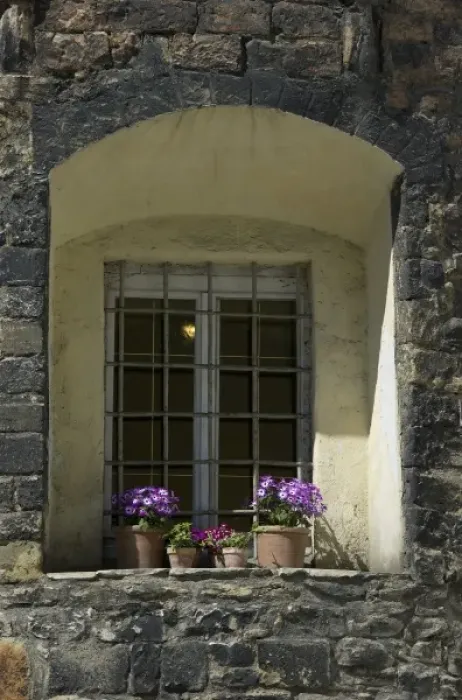 Framed Print : Europe, Germany, Bavaria, Regensburg, flower pots on windowsill Framed Print : Europe, Germany, Bavaria, Regensburg, flower pots on windowsill