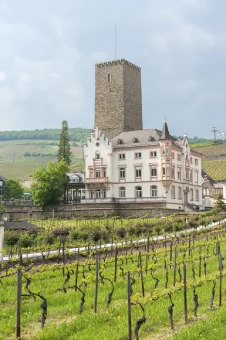 Framed Print : Europe, Germany, Hessen, Rudesheim, Boosenburg Castle, Carl Jung vineyard