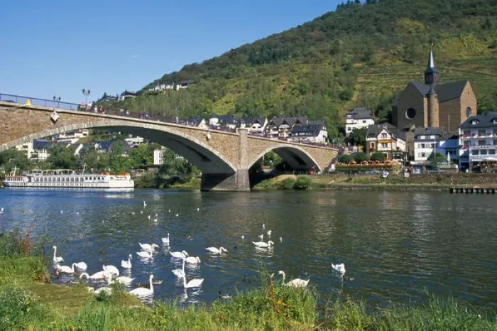 Framed Print : Europe, Germany, Rhineland-Palatinate, Cochem, bridge across Mosel River with swans Framed Print : Europe, Germany, Rhineland-Palatinate, Cochem, bridge across Mosel River with swans