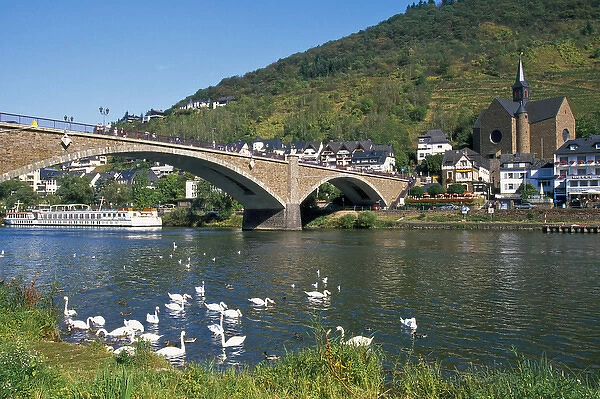 Europe, Germany, Rhineland-Palatinate, Cochem, bridge across Mosel River with swans