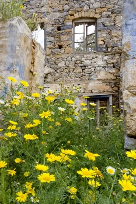 Framed Print : Europe, Greece