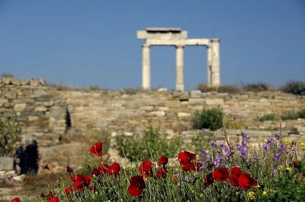 Europe, Greece, Cyclades, Delos. Column ruins