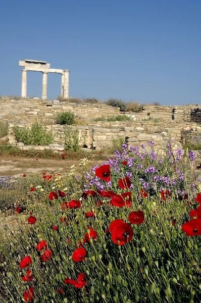 Europe, Greece, Cyclades, Delos. Column ruins