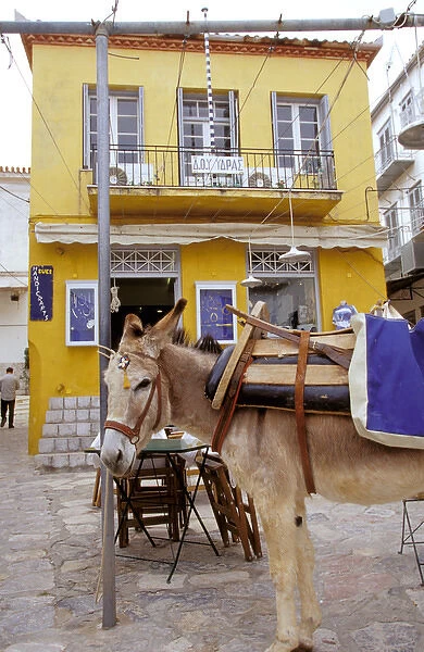 Europe, Greece, Hydra. Donkey in front of yellow building