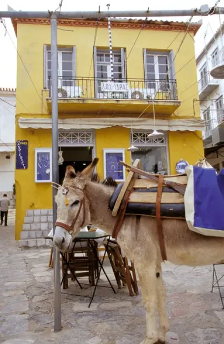 Framed Print : Europe, Greece, Hydra. Donkey in front of yellow building Framed Print : Europe, Greece, Hydra. Donkey in front of yellow building