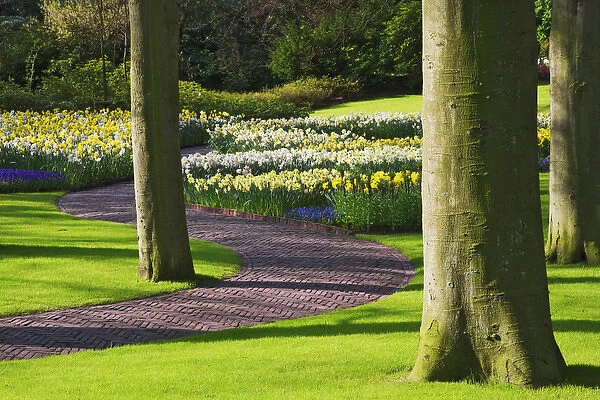 Europe, Holland, Lisse, Keukenhof Gardens. Curving path through famous gardens. Credit as