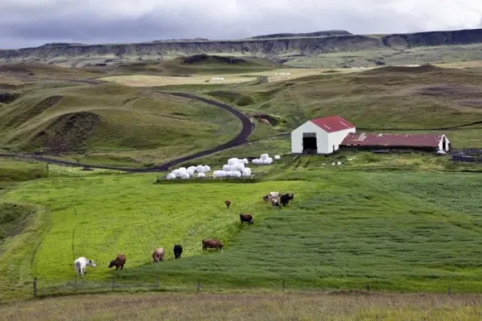 Framed Print : Europe, Iceland