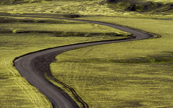 Europe, Iceland. Black dirt road curves through green countryside
