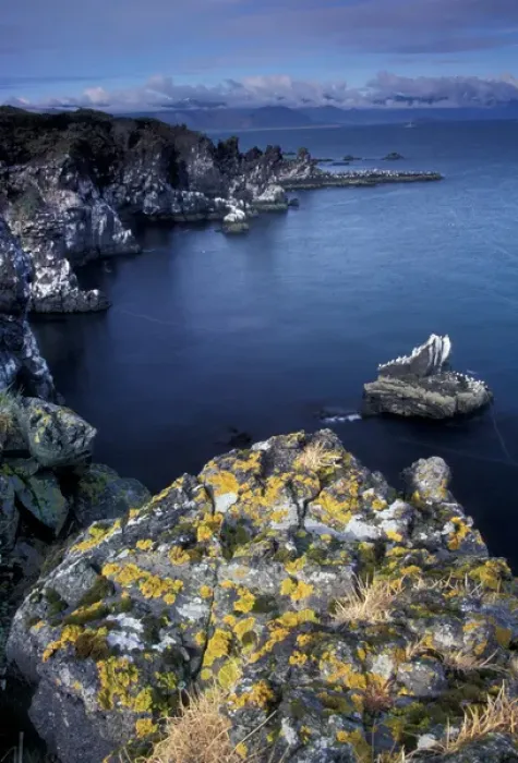 Framed Print : Europe, Iceland, Breithavik coastline