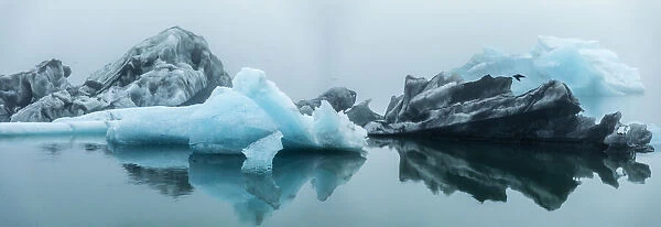 Europe, Iceland. Morning fog softens the light shining on icebergs floating in