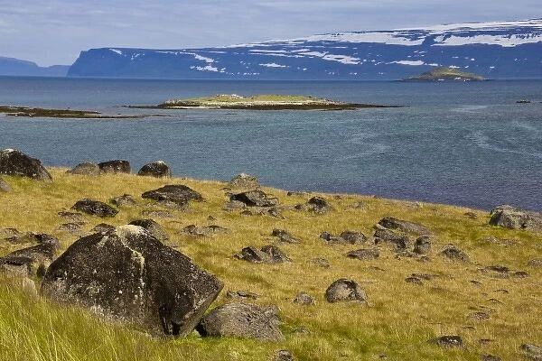 Europe, Iceland, West Fjords, North Atlantic Ocean, scenic landscape of grasses, sea