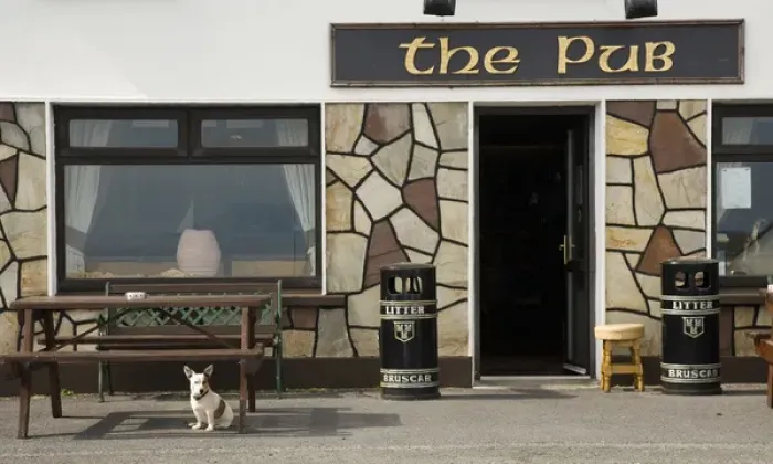 Framed Print : Europe, Ireland, Achill Island, Dooagh. Small dog who greets the patrons of the tavern