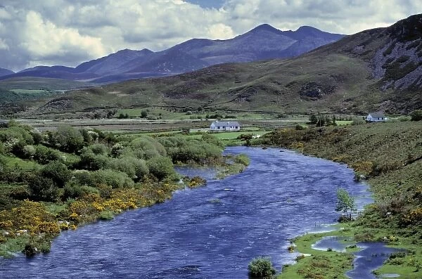 Europe, Ireland, Caragh River. The Caragh River flows through the heathered green of County Kerry