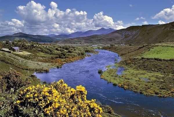 Europe, Ireland, Caragh River. Caragh River river winds gently through County Kerry