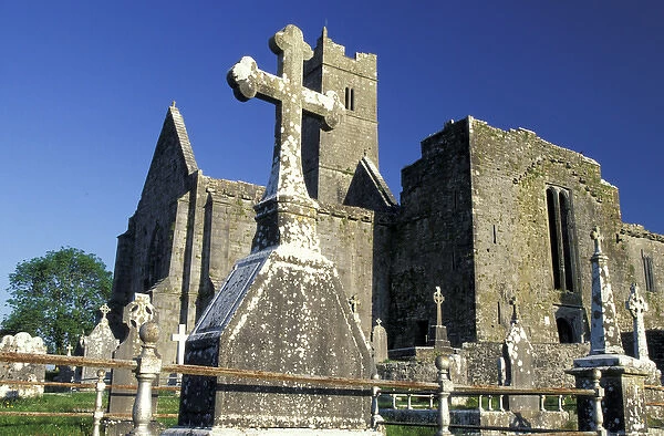 Europe, Ireland, County Clare. Quin Abbey, Crosses in cemetery