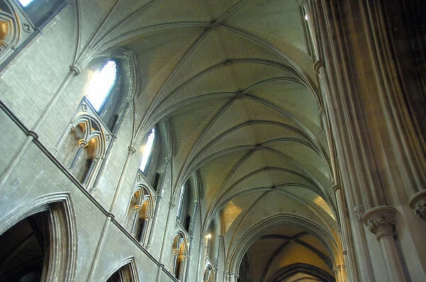 Europe, Ireland, Dublin. St. Patricks Cathedral. THIS IMAGE RESTRICTED - Not