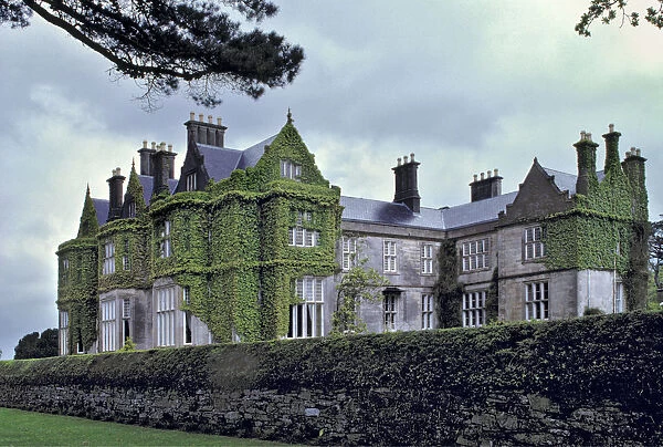 Europe, Ireland, Ring of Kerry. The stone sides of lovely Muckross House are draped in ivy vines