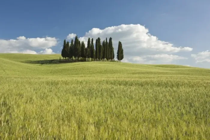 Framed Print : Europe, Italy