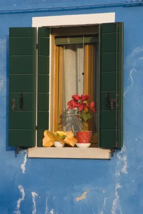 Framed Print : Europe, Italy, Burano. Poinsettia sits on shuttered window sill of a blue house. Credit as