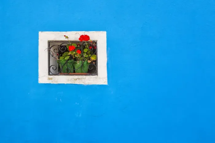Framed Print : Europe, Italy, Burano. Window of colorful house