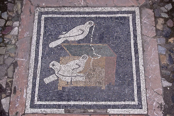 Europe, Italy, Campania, Pompeii. Bird mosaic in the floor of the House of the Faun