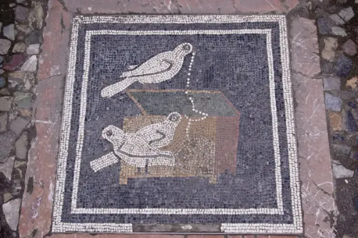 Framed Print : Europe, Italy, Campania, Pompeii. Bird mosaic in the floor of the House of the Faun