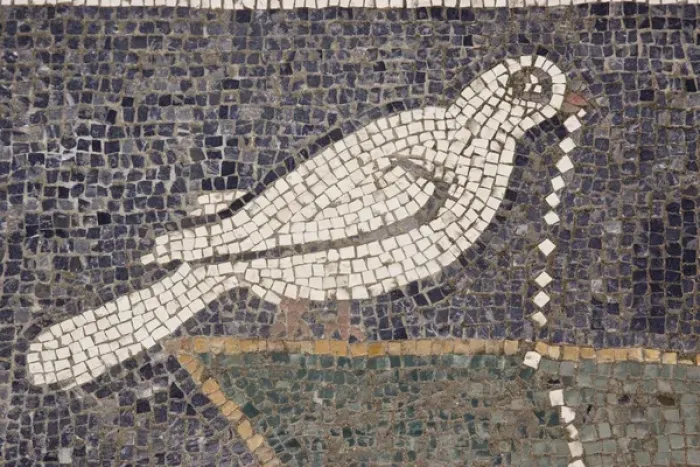 Framed Print : Europe, Italy, Campania, Pompeii. Detail of bird mosaic in the floor of the House of the Faun Framed Print : Europe, Italy, Campania, Pompeii. Detail of bird mosaic in the floor of the House of the Faun