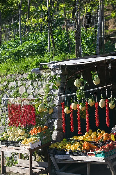 Europe, Italy, Campania, (Sorrento Penninsula) San Pietro: Fruit & Vegetable Roadside