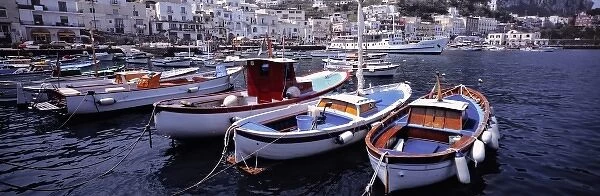 Europe, Italy, Capri. The harbor at Marina Grande, Capri, Italy, is a popular port of call