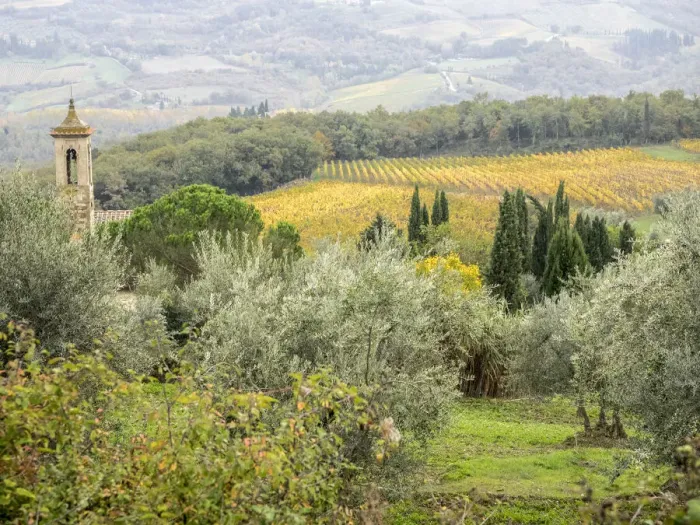 Framed Print : Europe, Italy, Chianti. Pieve di Santa Maria Novella near Radda in Chianti