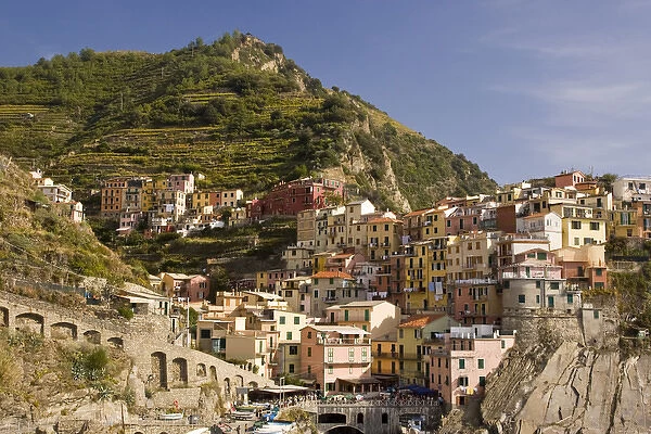Europe, Italy, Cinque Terre, Manarola. View of the town and terraced vineyards. Credit as